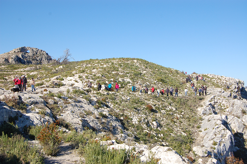 imagen-la-vall-de-gallinera-la-forada